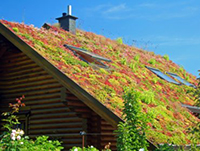 La toiture végétalisée à Saint-Loup-Sur-Aujon