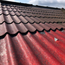Peinture toiture : Protection et esthétique avec une couche de peinture adaptée à votre toit Parmain