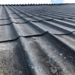 Revêtement toit terrasse : Options de revêtement pour créer un espace extérieur fonctionnel et esthétique Lavans-les-Saint-Claude